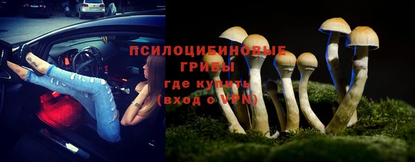 мет Мегион