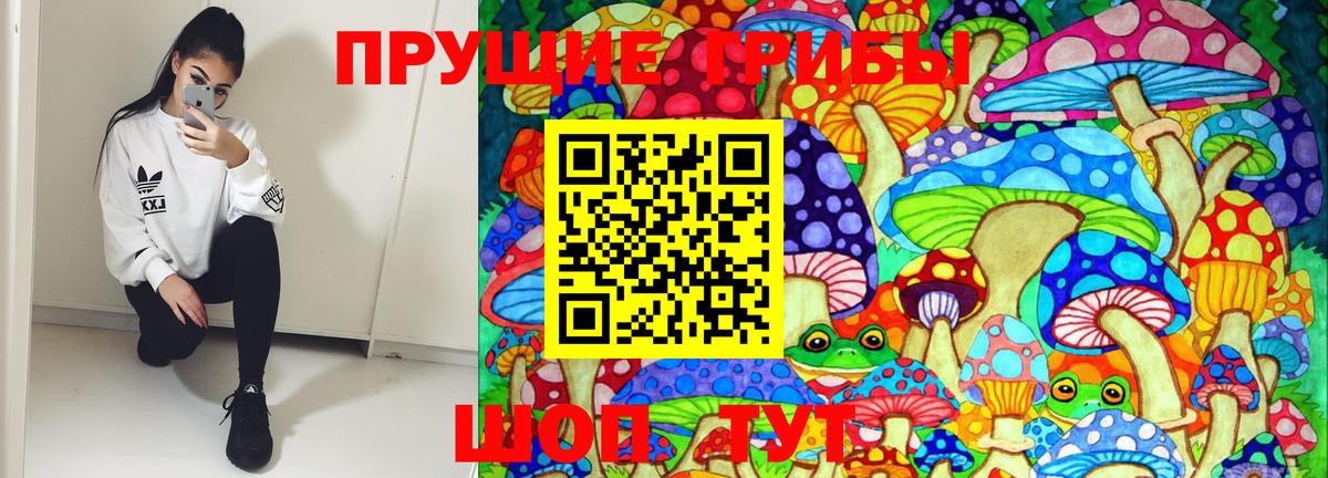 Псилоцибиновые грибы прущие грибы Лянтор