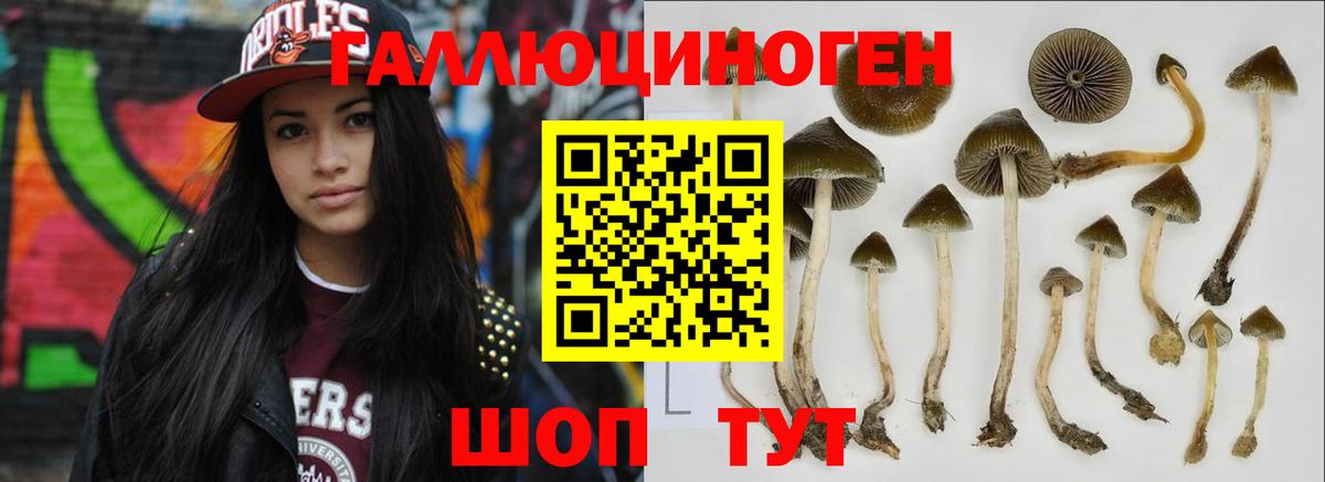 Лянтор  Галлюциногенные грибы MAGIC MUSHROOMS  Вход с VPN 