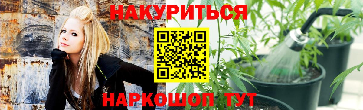Канабис конопля Лянтор